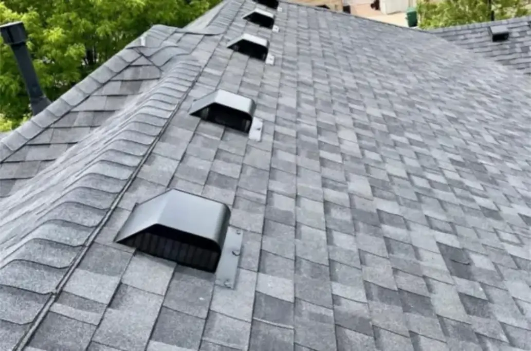 Signs You Need Immediate Roof Replacement in Peterborough